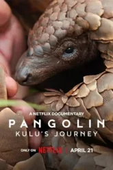 Download Pangolin: Kulu’s Journey | 2025 | Hindi-English | Dual Audio | WEB-DL | Full Movie 480p 720p 1080p