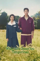Download When Life Gives You Tangerines | 2025 | Season 1 | Complete Multi Audio | Hindi-English-Korean | NetFlix Originals WEB Series | 480p 720p 1080p