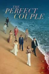 The Perfect Couple | 2024 | Season 1 | Hindi-English | NetFlix WEB Series | 720p 1080p